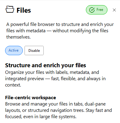 Detail view of an activated app