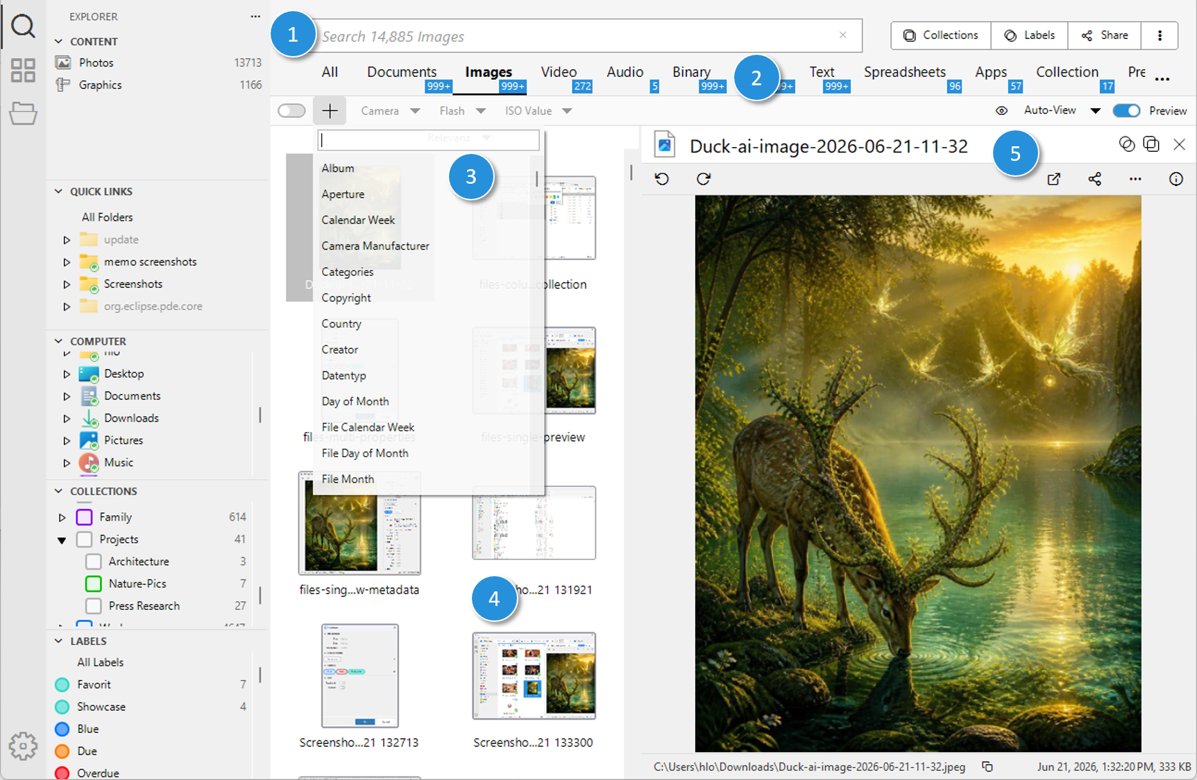 Main Search Window